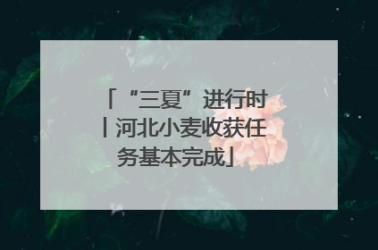 “三夏”进行时丨河北小麦收获任务基本完成